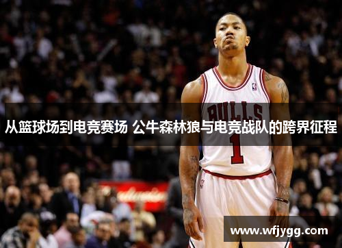 从篮球场到电竞赛场 公牛森林狼与电竞战队的跨界征程