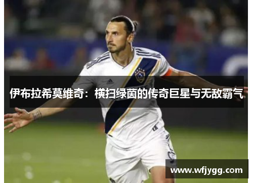 伊布拉希莫维奇：横扫绿茵的传奇巨星与无敌霸气